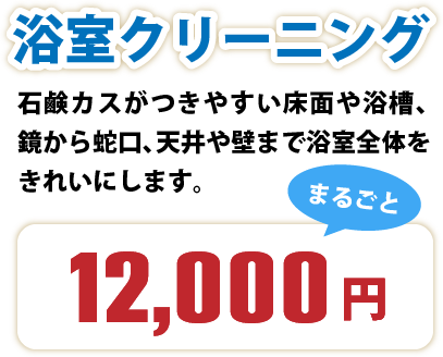 浴室クリーニング・石鹸カスがつきやすい床面や浴槽、鏡から蛇口、天井や壁まで浴室全体をきれいにします。まるごと12,000円
